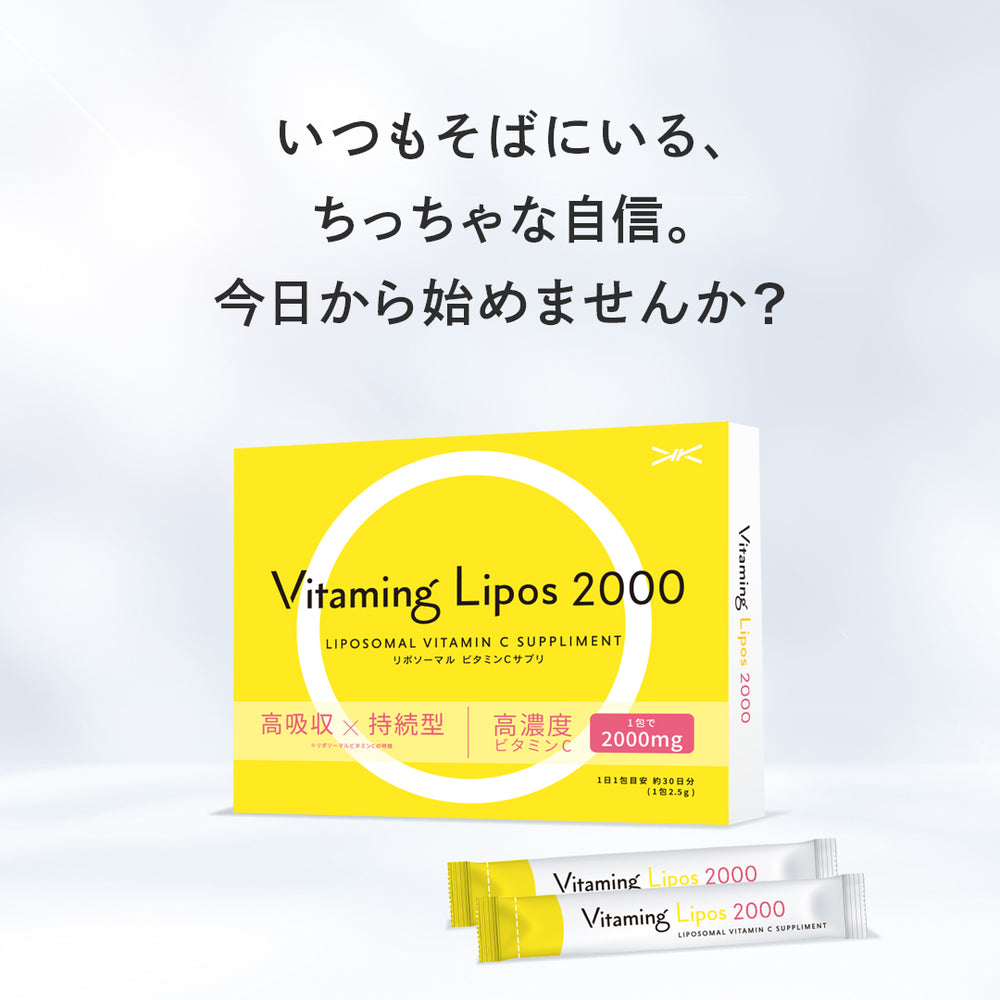 30袋 SunLipid サンリピド リポソーム ビタミンC SUNLIPID